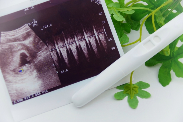 妊娠検査薬はいつから使う フライング検査の反応精度や妊娠したサインも キューズベリー 抱っこ紐専門店公式ブログ